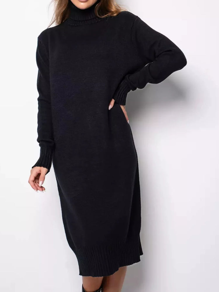Turtleneck Ribbed Knit Sweater Dress