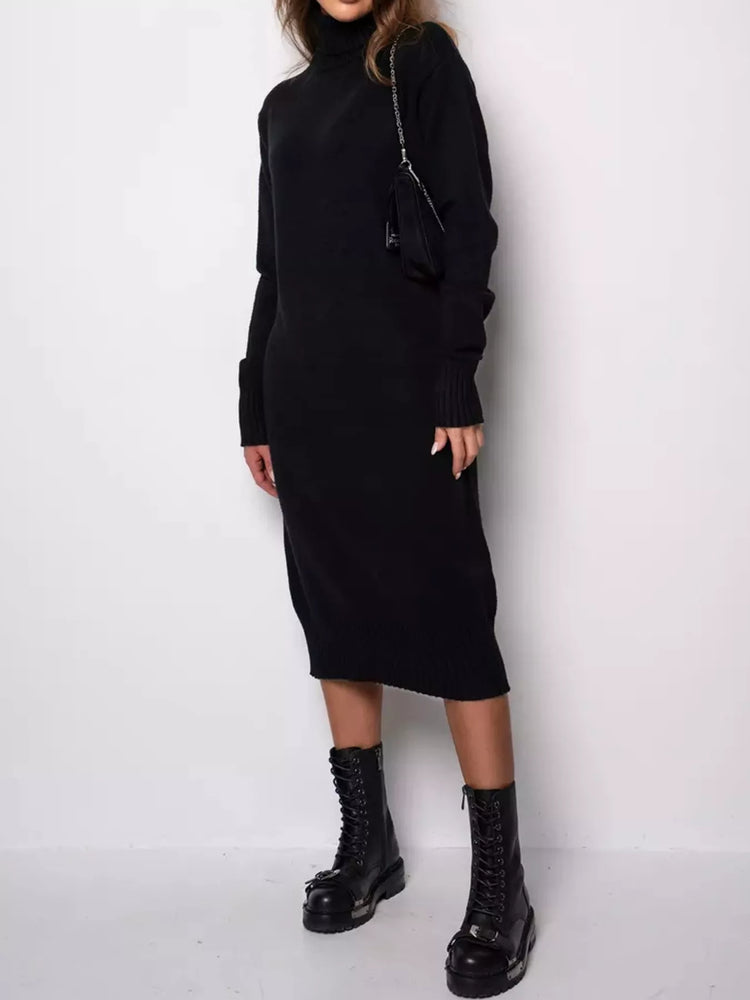 Turtleneck Ribbed Knit Sweater Dress