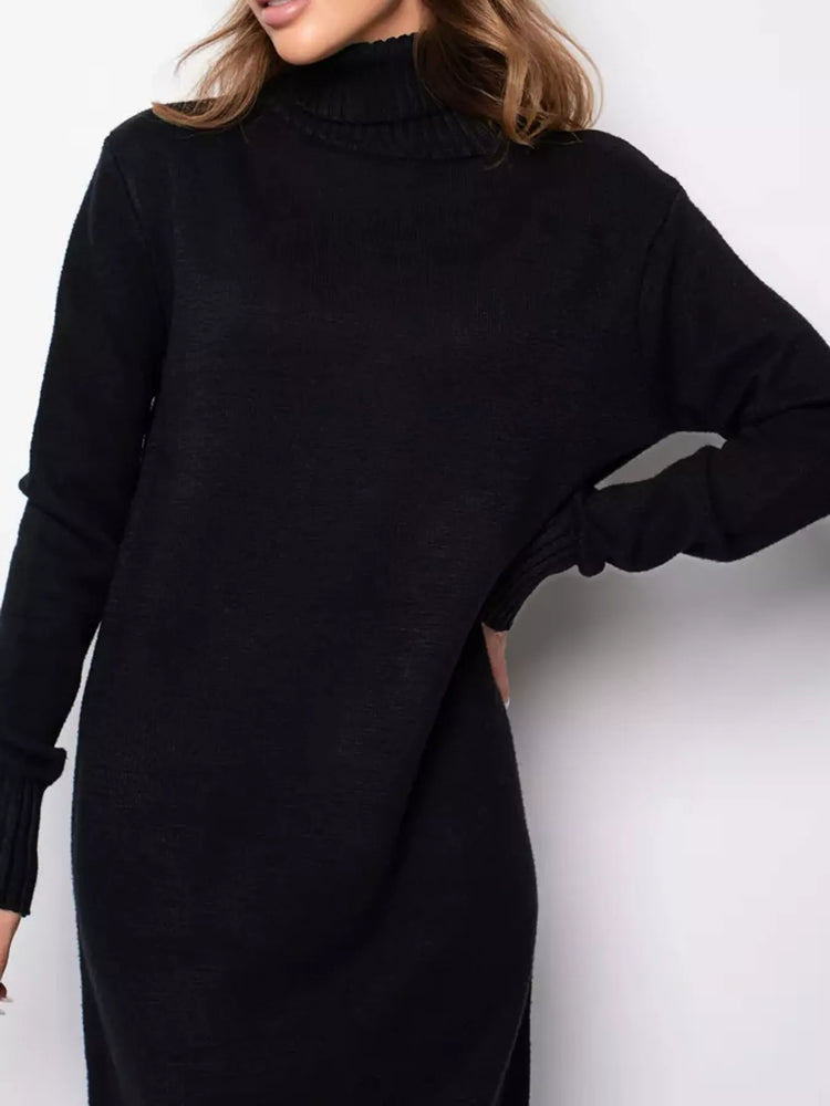 Turtleneck Ribbed Knit Sweater Dress