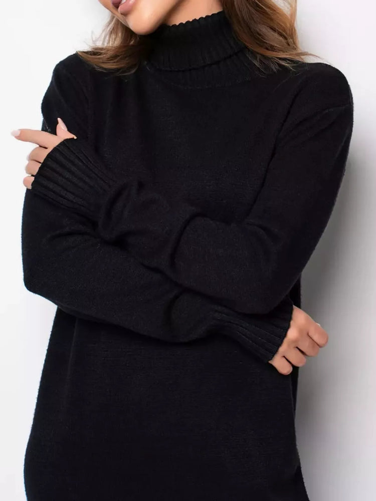 Turtleneck Ribbed Knit Sweater Dress