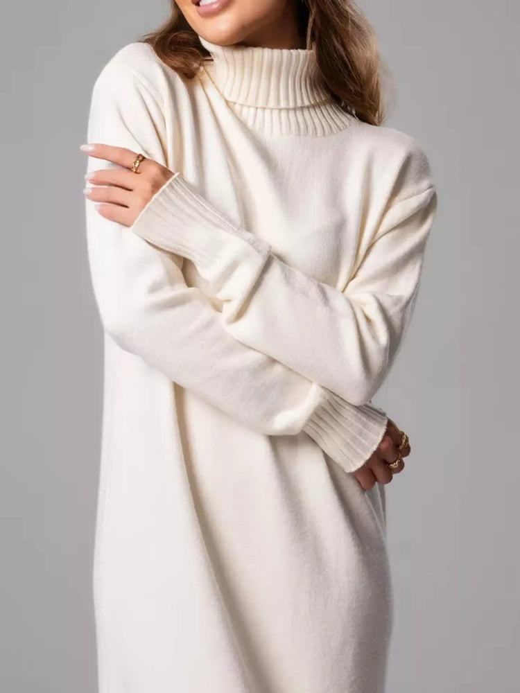 Turtleneck Ribbed Knit Sweater Dress